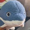 delfinacio