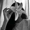 xpxx.v