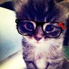 cute_pelin
