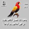 user3062098731940