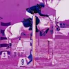 nikishowjumping