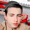 TikTok Team