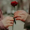 firdws94