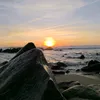 Deep Nature