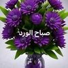 kamees.salmani