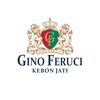 Ginoferucikebonjati