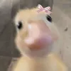 faaauuuziii