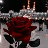 omhassan549