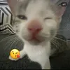 zamira.com2187