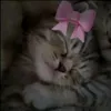 wikusiaaa_09