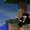 winzdaynek