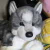 6teen_paws