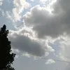 dushnaay_elfiay