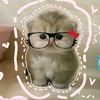 kateyess792