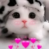aninha_142536