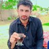 hamza.hamza4461