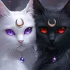 darknessfox9976