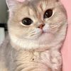 cute.miyue