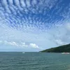 thch.vivu