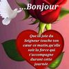 stout9536