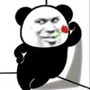 bin.dinh