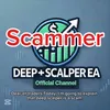 deepscalperisscam