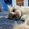 aqilla.marwa8