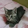 atomu.channel