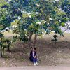 zi.lay95