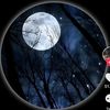 moon.light1575