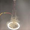 Shesha Lovers