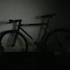arfa.rafael6