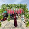 safitri.fitri673