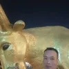 chu.vn.qu2