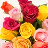 anoussa.nounou