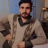 mshahid86922