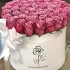 barhamshwany26