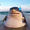 thichcaudai_16