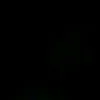 normina.hasis