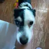_luciajmnezruip