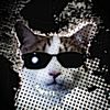 kmtcanedit_