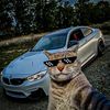 srkbdshh