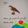 user76788143721380