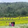thuybeo2501