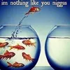 realestbros