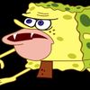 spongewaterp