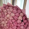 _lola38