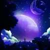 bo.anh.sam6