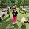dng.nguyn.c228