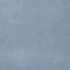 no_name_yac